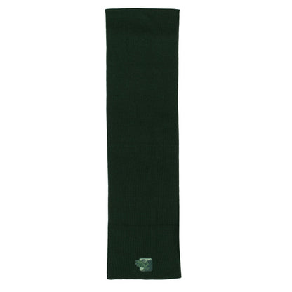 ARMANI EXCHANGE green scarf