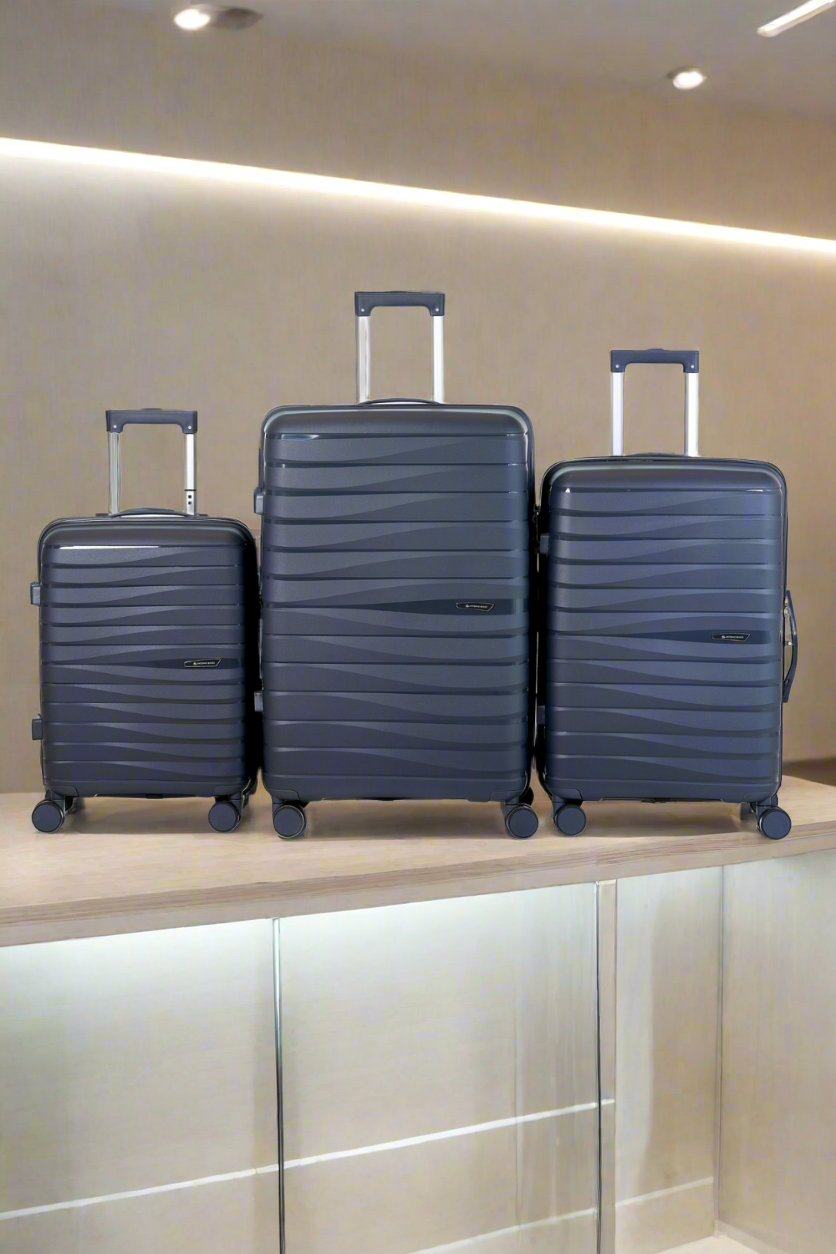 Antonio Basile grey suitcases