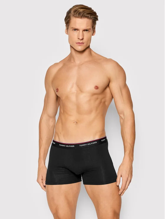 TOMMY HILFIGER  apatiniai vyrams