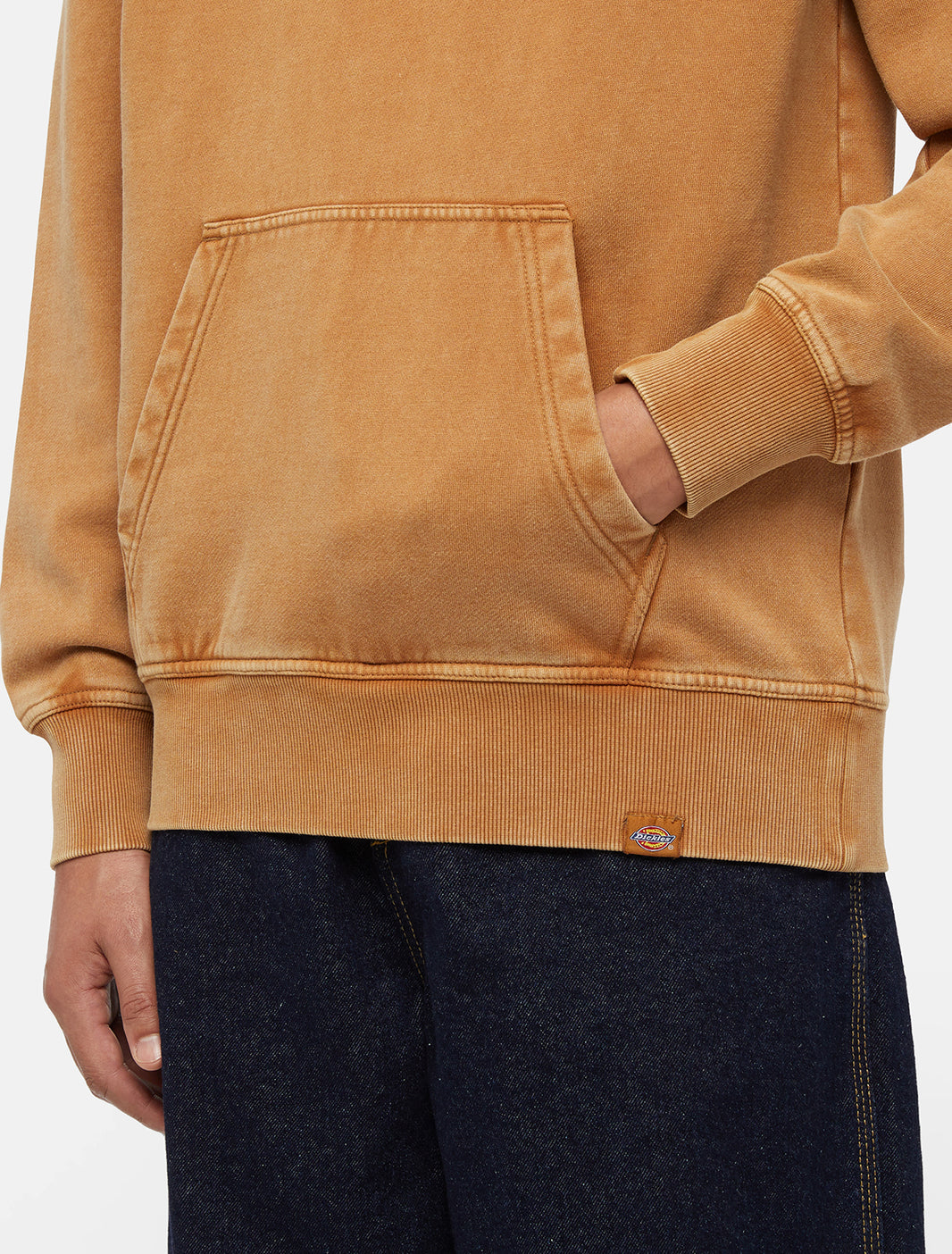 DICKIES džemperis su pūkeliu