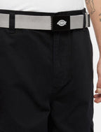 DICKIES universal belt