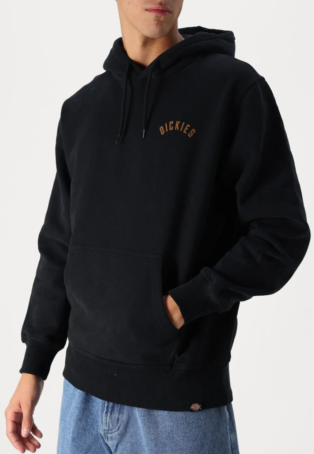 DICKIES džemperis su pūkeliu